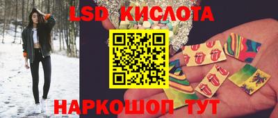 индика Кингисепп