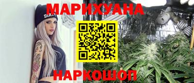 индика Кингисепп