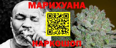 индика Кингисепп