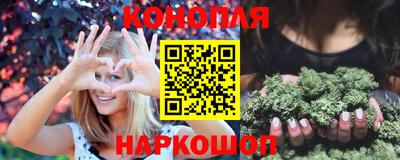индика Кингисепп