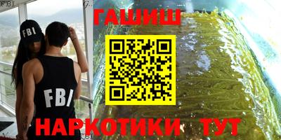 индика Кингисепп