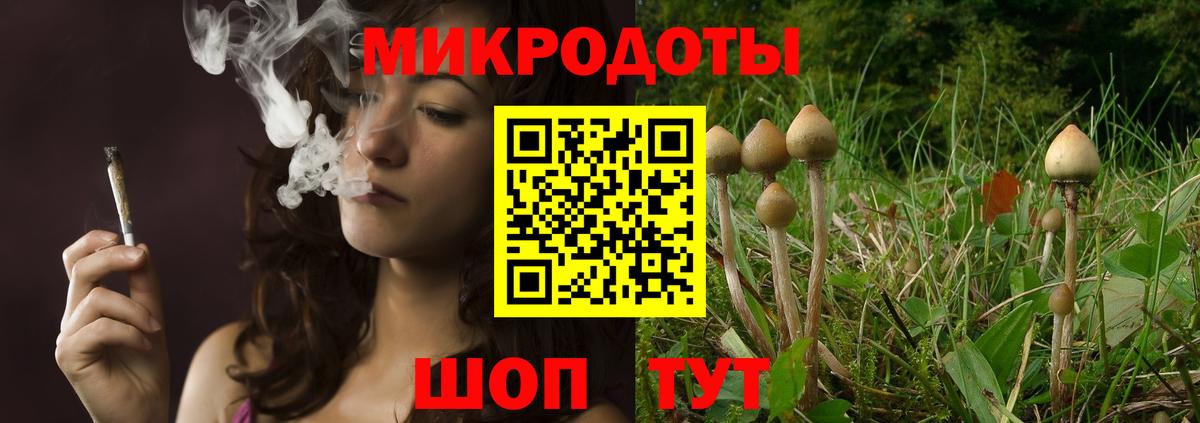 Салехард  Галлюциногенные грибы MAGIC MUSHROOMS  где продают   Вход с VPN 